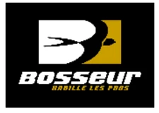 Bosseur
