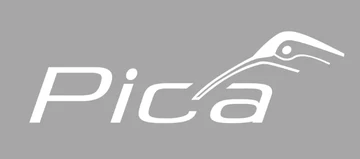 Pica